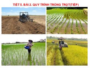 Bài giảng điện tử môn Công nghệ 7 Bài 2: Quy trình trồng trọt (Tiết 5) | Cánh diều