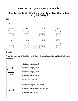 Luyện tập: Giải bài tập Luyện tập, thực hành Toán lớp 3 Cánh diều trang 63, 64 tập 2