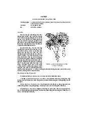 Cọ bầu - thực vật học  | Đại học Lâm Nghiệp