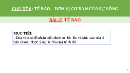 Giáo án điện tử Khoa học tự nhiên 6 bài 17 Chân trời sáng tạo : Tế bào
