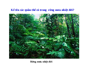 Giáo án điện tử Khoa học tự nhiên 8 Bài 43 Kết nối tri thức: Quần xã sinh vật