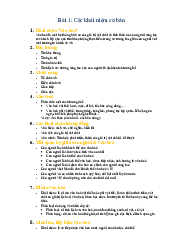 Trắc nghiệm bài 1,2,3 học phần Cơ Sở Văn Hóa Việt Nam | Đại Học Hà Nội