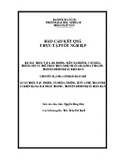 Báo cáo Thực tập Tốt nghiệp Ngành Báo Chí - ĐHSP Đà Nẵng