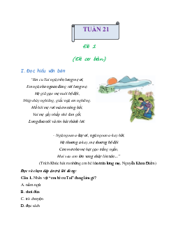 Giải Bài tập cuối tuần lớp 4 môn Tiếng Việt Cánh diều - Tuần 21 (Nâng cao)