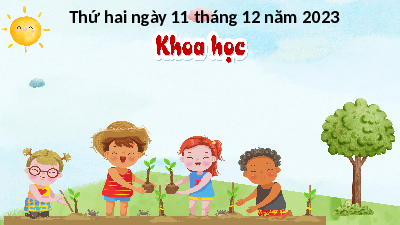 Giáo án điện tử Khoa học 4 Cánh diều: Nhu cầu sống của thực vật và chăm sóc cây trồng