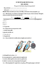 Đề thi thử tốt nghiệp THPT 2025 môn Sinh học bám sát đề minh họa - Đề 2