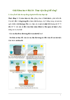 Giải Khoa học lớp 4 Bài 15: Thực vật cần gì để sống? | Kết nối tri thức