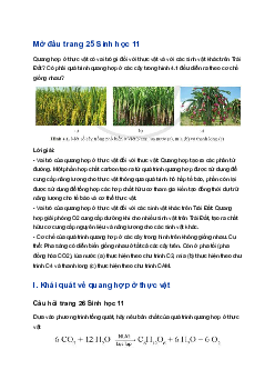 Giải SGK Sinh học 11 Cánh Diều bài 4: Quang hợp ở thực vật