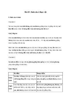 Giải Sinh học 11 Bài 25: Sinh sản ở thực vật| Kết nối tri thức