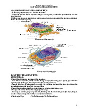Cấu trúc của tế bào nhân thực | Công nghệ sinh học | Đại học Tôn Đức Thắng