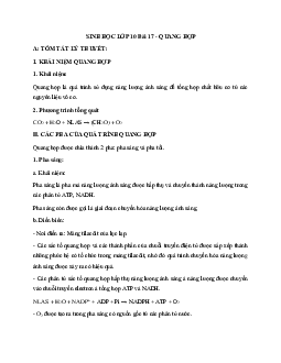 Tóm tắt lý thuyết Sinh học 10 bài 17: Quang hợp