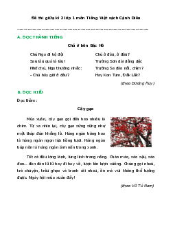 Đề thi giữa học kì 2 lớp 1 năm 2023 - 2024 | Tiếng việt 1 | Cánh diều | đề 1