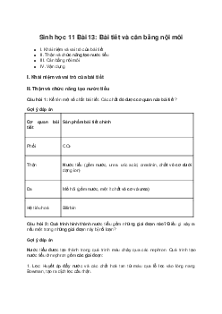 Giải Sinh học 11 Bài 13: Bài tiết và cân bằng nội môi| Kết nối tri thức