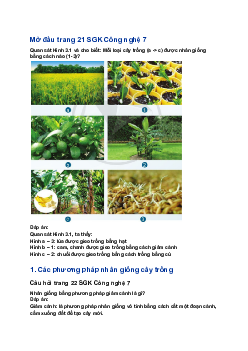 Giải SGK Công nghệ 7 Bài 3: Nhân giống cây trồng| Cánh diều
