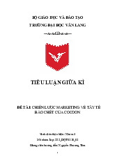 Tiểu luận giữa kì Chiến lược Marketing về tẩy tế bào chết Cocoon |  Đại học Văn Lang