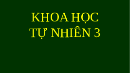 Giáo án điện tử Khoa học tự nhiên 6 bài 19 Chân trời sáng tạo : Cơ thể đơn bào và cơ thể đa bào