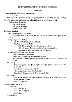 Tài liệu môn Kinh tế lượng cơ bản | Đại học Khoa học và Công nghệ Hà Nội