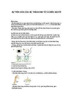 SỰ TIẾN HÓA CỦA HỆ THẦN KINH TỪ CÁ ĐẾN NGƯỜI | Tâm lý học thần kinh | Đại học Khoa học Xã hội và Nhân văn, Đại học Quốc gia Thành phố HCM