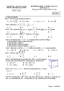 Đề thi học kì 2 Toán 11 năm 2020 – 2021 trường Phan Ngọc Hiển – Cà Mau