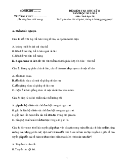 Đề thi học kì 2 lớp 10 môn Sinh học Cánh diều năm 2023 - Đề 1