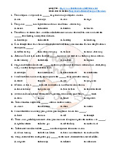 Lexical Multiple Choice for NEC 2023 - Part 4