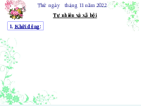 Giáo án điện tử TN&XH 3 Bài 9 Kết nối tri thức: Hoạt động sản xuất nông nghiệp