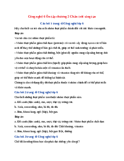 Công nghệ 6 Ôn tập chương 2 Chân trời sáng tạo