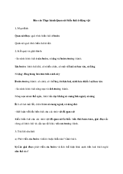 Giải Sinh học 11 Bài 23: Thực hành Quan sát biến thái ở động vật| Kết nối tri thức