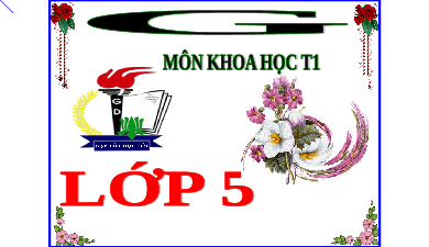 Giáo án điện tử Khoa học 5 Bài 9-10 Cánh diều:Thực hành: Nói “Không!”đối với các chất gây nghiện(tiết 1)