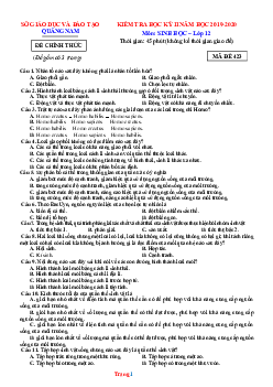 TOP 2 đề thi cuối kỳ II năm 2019 -2020 môn Sinh học 12 tỉnh Quảng Nam (có đáp án)