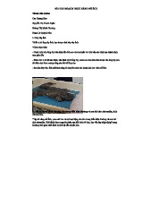 Bài Thu Hoạch Thực Hành Mổ Ếch: Kỹ Năng và Quan Sát Tim, Cơ Quan