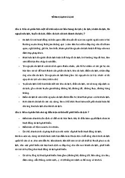Đề cương Tổng quan du lịch | Đại học Văn hóa Hà Nội