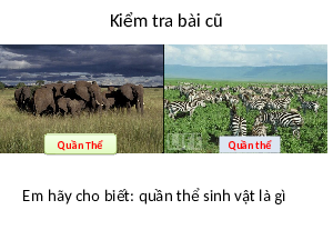 Giáo án điện tử Khoa học tự nhiên 8 Bài 43 Kết nối tri thức: Quần xã sinh vật