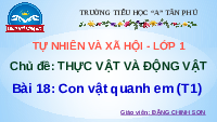 Giáo án điện tử Tự nhiên và xã hội 1 bài 18 Chân trời sáng tạo : Con vật quanh em