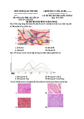 Đề thi thử mô học | Đại học Y khoa Phạm Ngọc Thạch