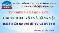 Giáo án điện tử Tự nhiên và xã hội 1 bài 21 Chân trời sáng tạo : Ôn tập chủ đề Thực vật và Động vật