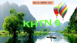 Giáo án điện tử Khoa học tự nhiên 6 bài 31 Chân trời sáng tạo : Động vật