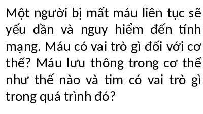 Giáo án điện tử Khoa học tự nhiên 8 Bài 33 Kết nối tri thức: Máu và hệ tuần hoàn của cơ thể người