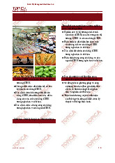 Nghiên cứu Thị Trường Cạnh Tranh Hoàn Hảo (CTHH) và Lợi Nhuận Hãng môn Kinh tế vi mô | Trường Đại học Kinh Tế Quốc Dân