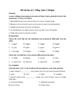 Đề thi học kì 1 Tiếng Anh 11 | Bright