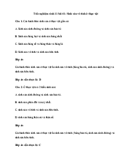 Trắc nghiệm Sinh học 11 bài 41| Kết nối tri thức