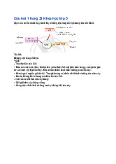 Giải SGK Khoa học lớp 5 Cánh diều Ôn tập chủ đề Chất