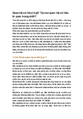 Quan hệ sở hữu là gì? Tại sao quan hệ sở hữu là quan trọng nhất?