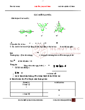 Các kiểu lai hóa - Hóa Đại Cương | Trường Đại học Bách khoa Thành phố Hồ Chí Minh