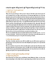 Chuyên ngành tiếng Anh là gì? Ngành tiếng Anh là gì? Ví dụ