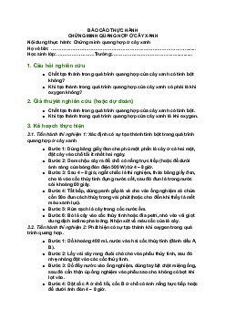 Giải SGK Khoa học tự nhiên 7 Bài 24: Thực hành: Chứng minh quang hợp ở cây xanh| Chân trời sáng tạo