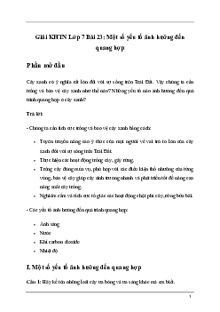 Bài 23: Một số yếu tố ảnh hưởng đến quang hợp | Giải sách Khoa học tự nhiên 7 Kết nối tri thức
