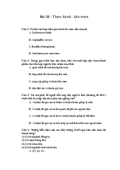 Trắc nghiệm Sinh học 10 Bài 28: Thực hành: Lên men | Chân trời sáng tạo