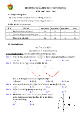 Đề ôn tập giữa học kì 1 Toán 12 năm 2024 – 2025 trường THPT Việt Đức – Hà Nội