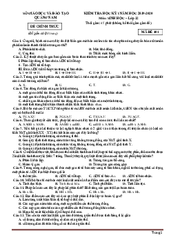 TOP 3 đề thi học kỳ I năm 2019-2020 môn sinh 12 sở GD Quảng Nam (có đáp án)